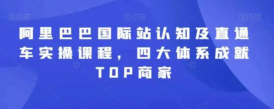 阿里巴巴国际站认知及直通车实操课程，四大体系成就TOP商家-资源分享