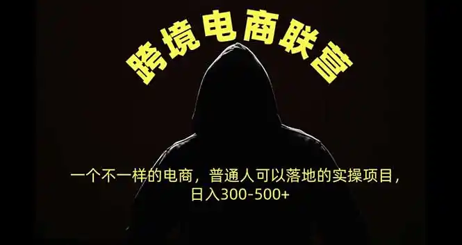 跨境电商联营,一个不一样的电商,普通人可操作日入300-500+-资源分享