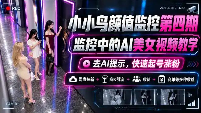 小小鸟颜值监控第四期，监控中的AI美女视频教学，去AI提示，快速起号涨粉，网盘拉新+商K引流+收徒+商单等多种收益-资源分享
