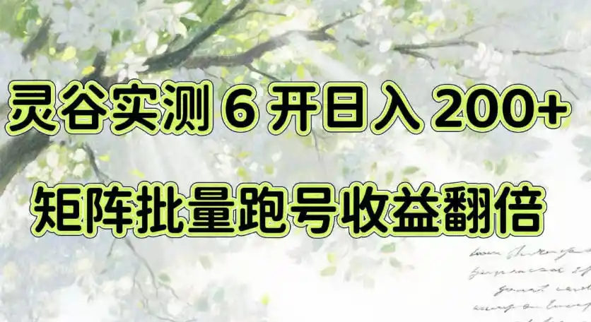 一台电脑就能做！灵谷实测6开日入200+，矩阵批量跑号收益翻倍【揭秘】-资源分享
