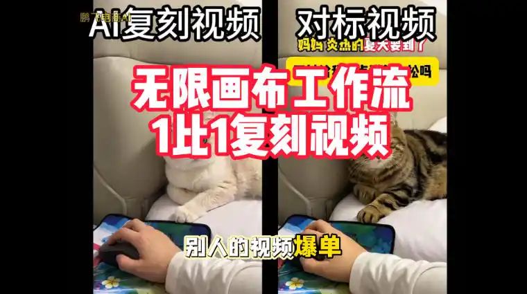 宠物带货视频复刻，无限画布工作流1比1，不用拍摄、不用布景、不用真人出镜，几分钟就能做出一条专业带货视频-资源分享