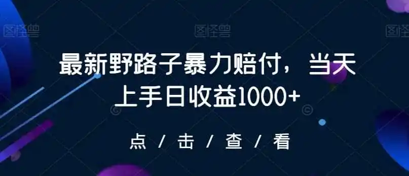 最新野路子暴力赔付，当天上手日收益1000+【仅揭秘】-资源分享