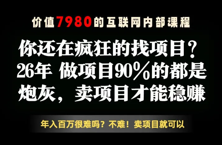 26年请不要疯狂的找项目了，卖项目远比你想象的暴利，你也可以月入10W+【揭秘】-资源分享