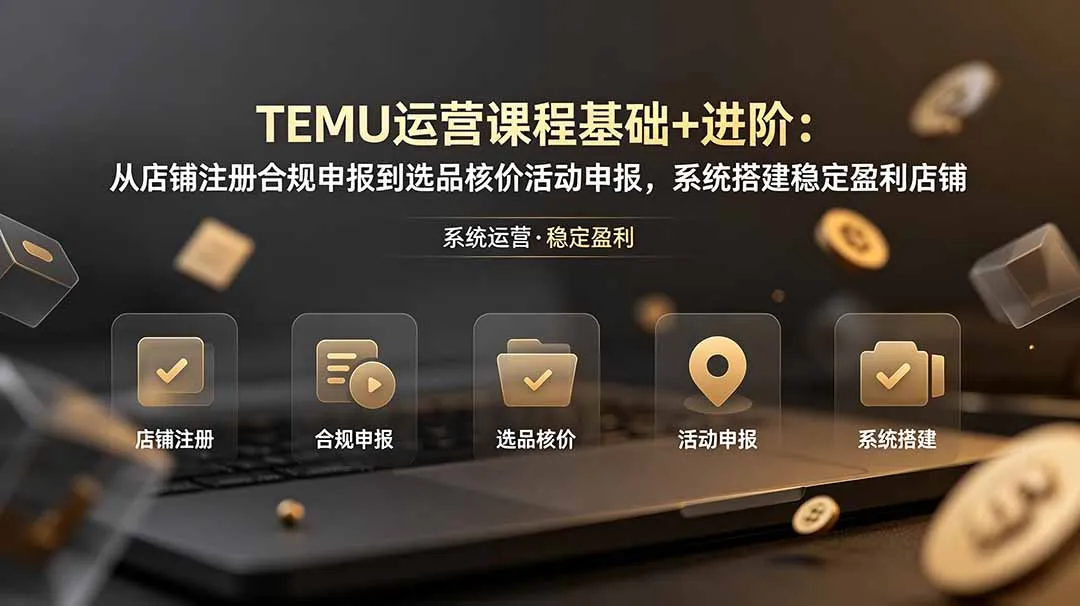 TEMU运营课程(基础+进阶-资源分享
