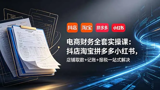 电商财务全套实操课：抖店淘宝拼多多小红书，店铺取数+记账+报税一站式解决-资源分享