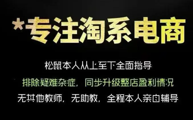 松鼠会电商VIP课程，从基础布局到高阶优化，助你掌握淘宝运营逻辑，提升店铺流量与转化-资源分享