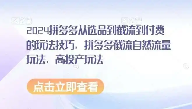2024拼多多从选品到截流到付费的玩法技巧，拼多多截流自然流量玩法，高投产玩法-资源分享