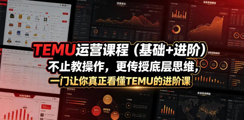 TEMU运营课程(基础+进阶)，不止教操作，更传授底层思维，一门让你真正看懂TEMU的进阶课-资源分享