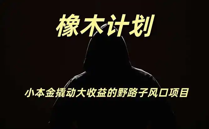 橡木计划，小投入撬动高回报的风口野路子项目，一天投入2小时左右-资源分享