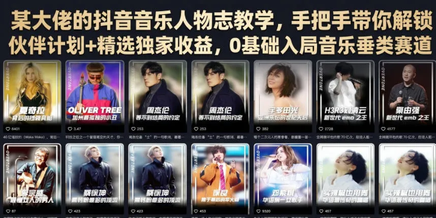 某大佬的抖音音乐人物志教学，手把手带你解锁伙伴计划+精选独家收益，0基础入局音乐垂类赛道-资源分享