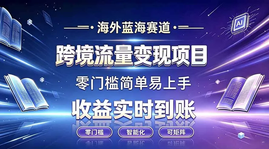 海外蓝海赛道：跨境流量变现项目 - 轻创方舟-资源分享