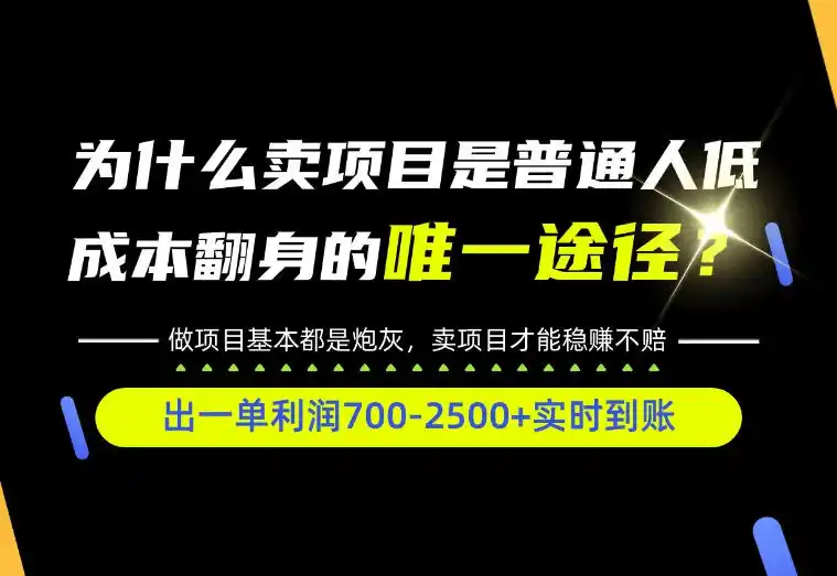普通人如何靠互联网賺取自己的第一桶金！全类目实操型教学，看完你全都懂了！【揭秘】-资源分享