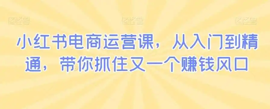 小红书电商运营课，从入门到精通，带你抓住又一个赚钱风口-资源分享