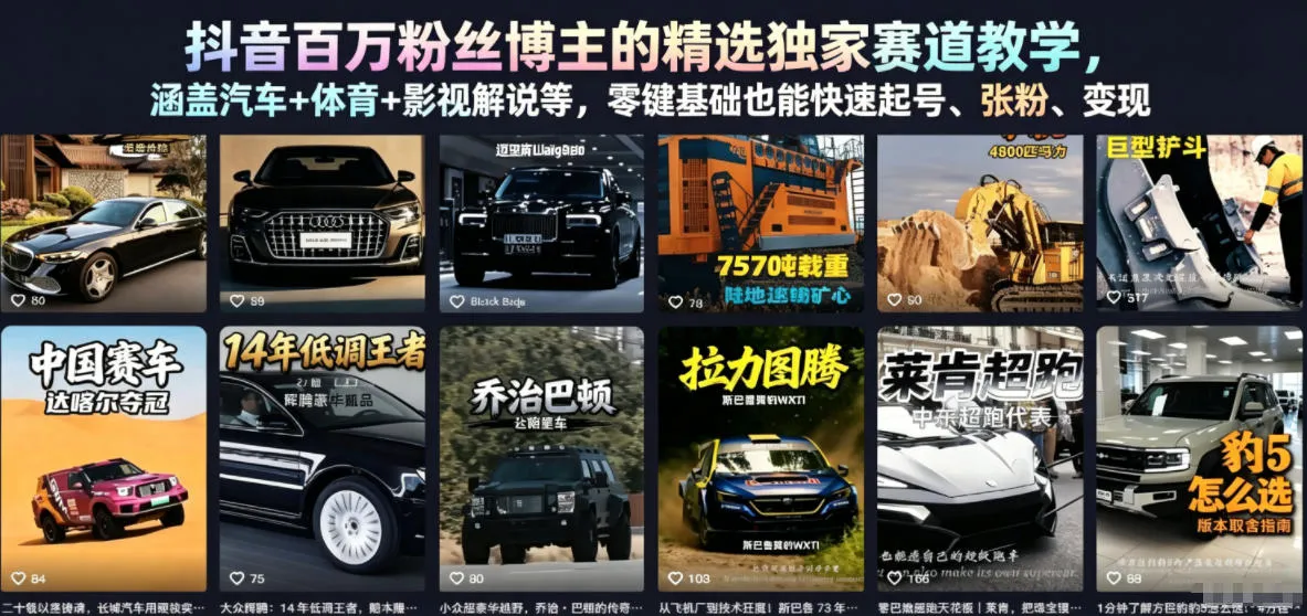 抖音百万粉丝博主的精选独家赛道教学，涵盖汽车+体育+影视解说等，零基础也能快速起号、涨粉、变现(更新0701)-资源分享