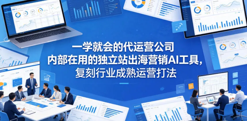一学就会的代运营公司内部在用的独立站出海营销AI工具，复刻行业成熟运营打法-资源分享