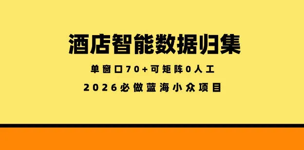 酒店智能数据归集，小众蓝海已经稳定半年之久，单窗口70+零成本矩阵开干【揭秘】-资源分享