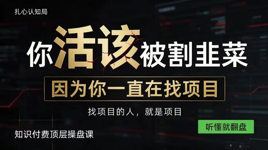 做项目不如卖项目，做知识付费自己当老板，知识付费顶层操盘课，听懂就翻盘【揭秘】-资源分享