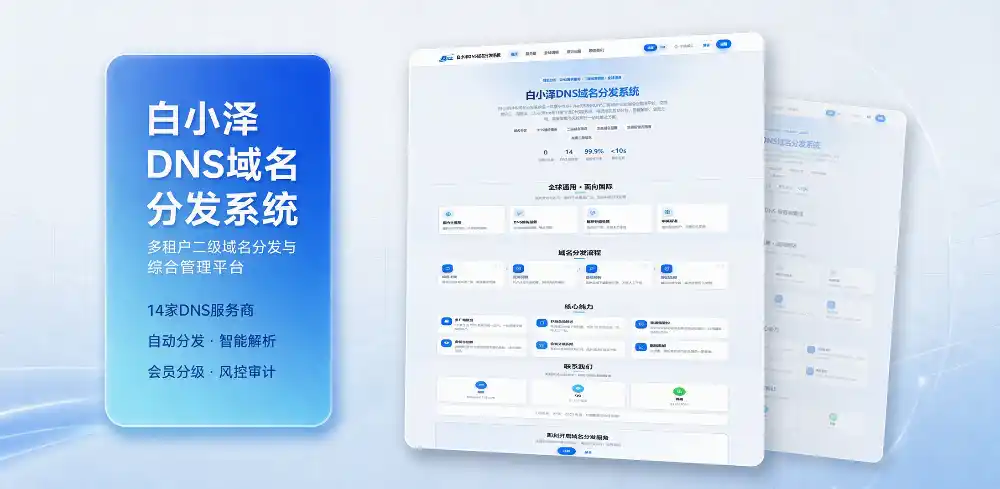 白小泽DNS域名分发系统 公测版 v1.0.0-资源分享