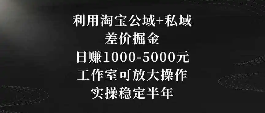 利用淘宝公域+私域差价掘金，日赚1000-5000元，工作室可放大操作，实操稳定半年【揭秘】-资源分享