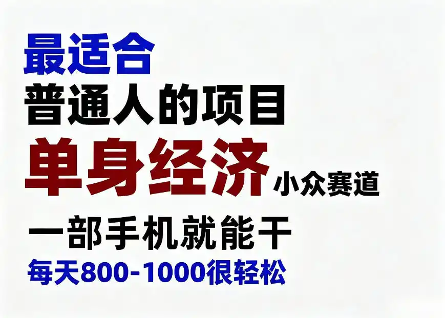 身经济小众赛道，一部手机就能干，每天搞个800-1000很轻松，最适合普通人的项目【揭秘】-资源分享